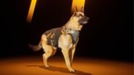 Hagios Sheepdog (Image via Nexon)
